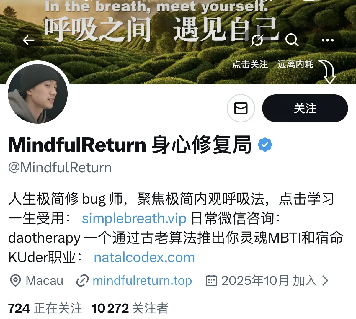 X 平台垂直小号变现：打造大健康垂直账号，发布身心调节类长文获取 25 万阅读量