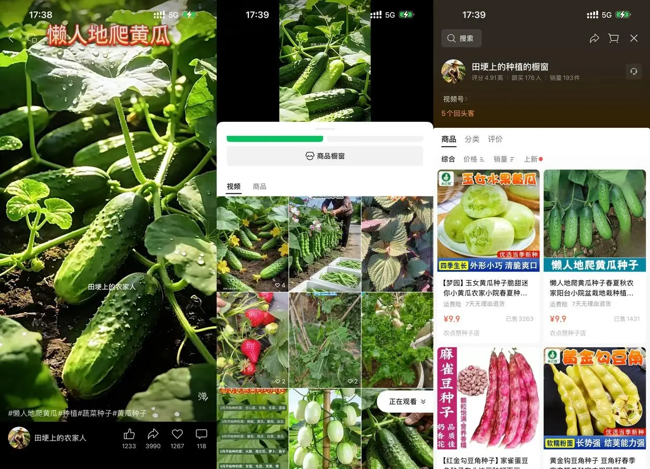 AI 种植视频带货：视频号发黄瓜种植短视频挂链卖种子客单 6.9 元自动出单